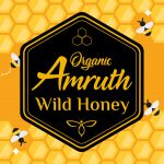 organic amruth wild honey